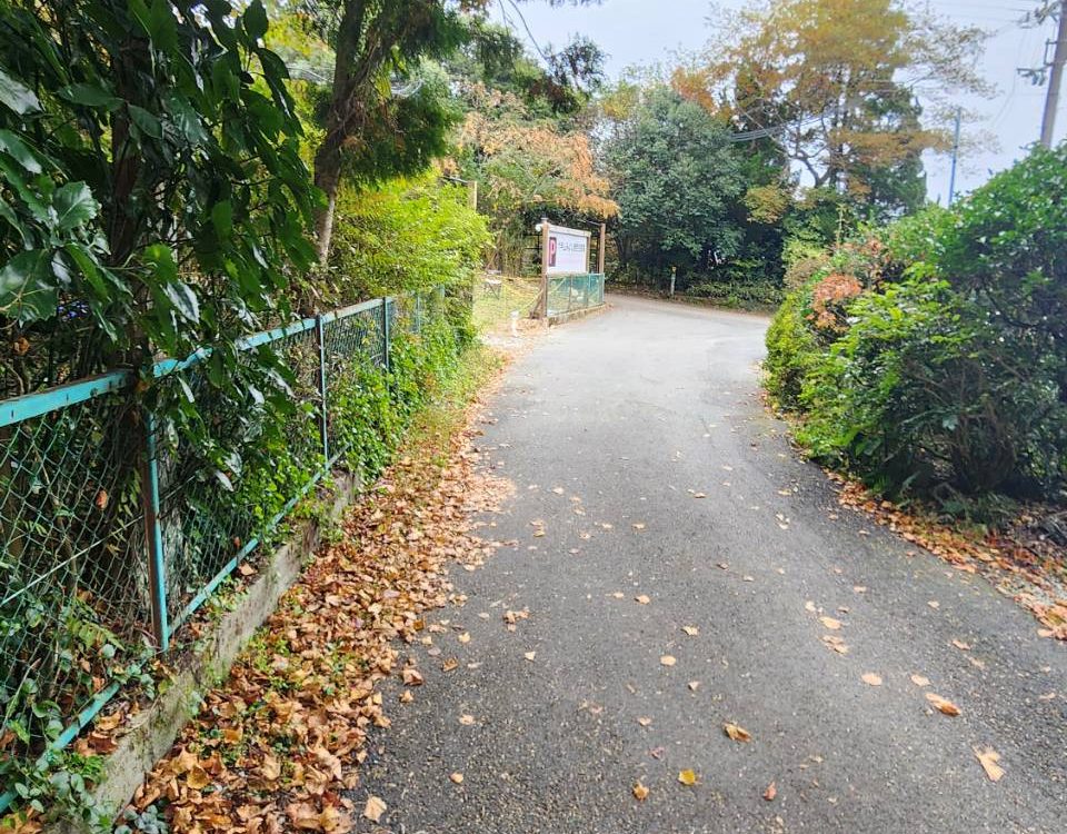 駐車場脇の道路